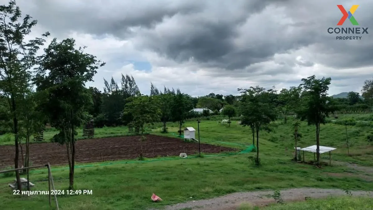 เช่าที่ดินหมูสี @เขาใหญ่ วิวสวย หมูสี ปากช่อง นครราชสีมา CX-13567 เช่าที่ดินหมูสี @เขาใหญ่ วิวสวย หมูสี ปากช่อง นครราชสีมา CX-13567