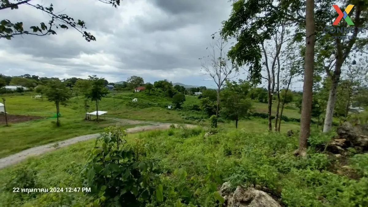 เช่าที่ดินหมูสี @เขาใหญ่ วิวสวย หมูสี ปากช่อง นครราชสีมา CX-13567 เช่าที่ดินหมูสี @เขาใหญ่ วิวสวย หมูสี ปากช่อง นครราชสีมา CX-13567