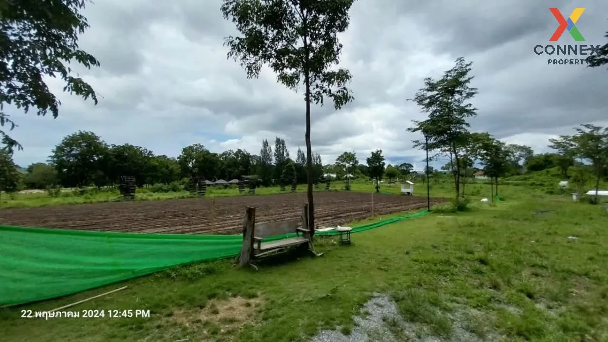 เช่าที่ดินหมูสี @เขาใหญ่ วิวสวย หมูสี ปากช่อง นครราชสีมา CX-13567 เช่าที่ดินหมูสี @เขาใหญ่ วิวสวย หมูสี ปากช่อง นครราชสีมา CX-13567