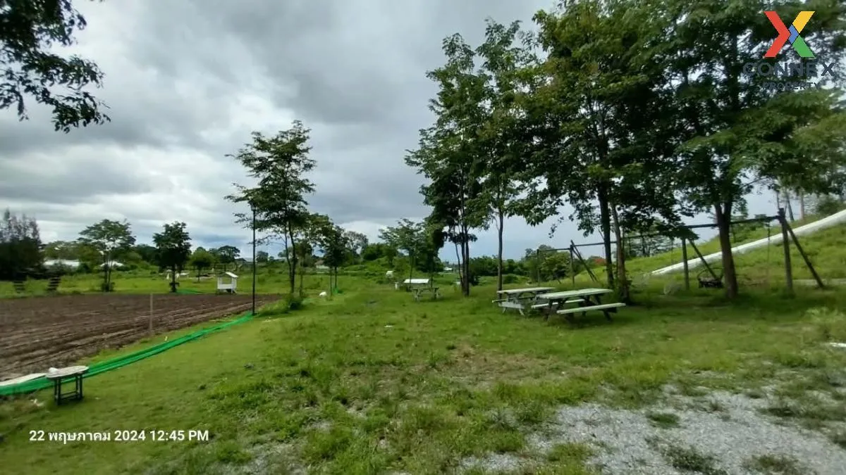 เช่าที่ดินหมูสี @เขาใหญ่ วิวสวย หมูสี ปากช่อง นครราชสีมา CX-13567 เช่าที่ดินหมูสี @เขาใหญ่ วิวสวย หมูสี ปากช่อง นครราชสีมา CX-13567