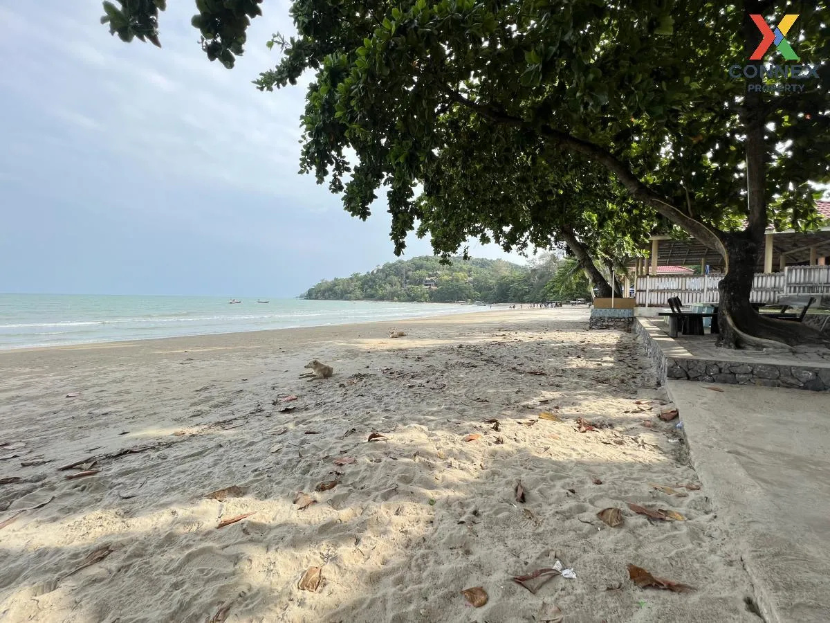 ขายที่ดินเปล่า พร้อมกิจการ รีสอร์ท แกลง ระยอง ติดหาดส่วนตัว มีใบป ขายที่ดินเปล่า พร้อมกิจการ รีสอร์ท แกลง ระยอง ติดหาดส่วนตัว มีใบป