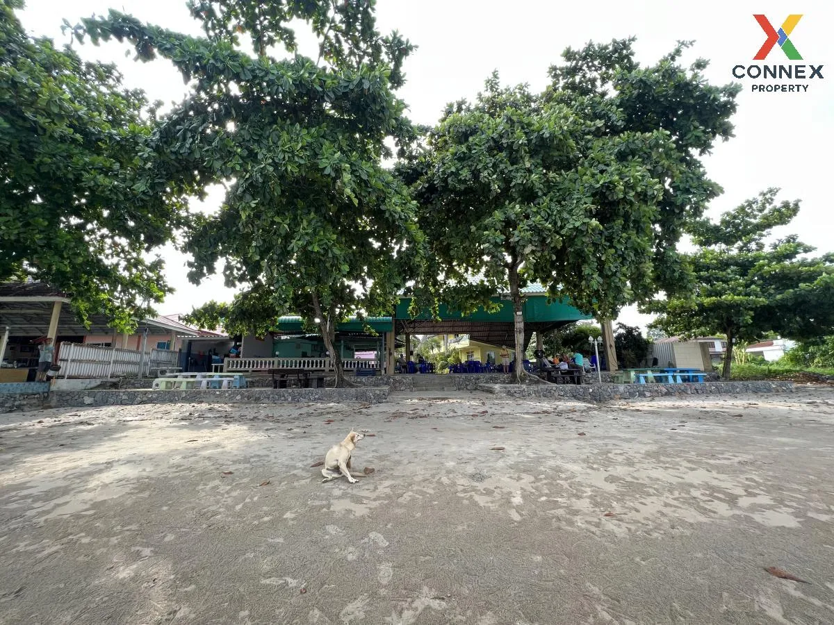 ขายที่ดินเปล่า พร้อมกิจการ รีสอร์ท แกลง ระยอง ติดหาดส่วนตัว มีใบป ขายที่ดินเปล่า พร้อมกิจการ รีสอร์ท แกลง ระยอง ติดหาดส่วนตัว มีใบป