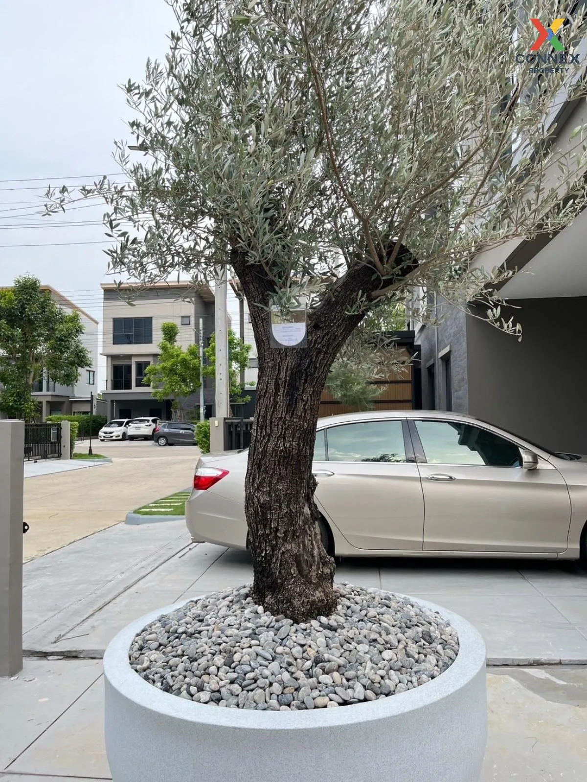 ขายบ้าน  บ้านกลางเมือง รามอินทรา 83 สเตชั่น รามอินทรา เขต คันนายา