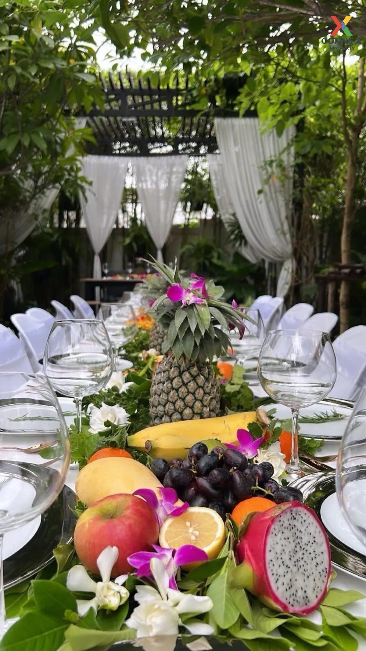 ขายบ้าน  บลูลากูน 2 บางนา - วงแหวน ดอกไม้ เขต ประเวศ กรุงเทพ CX-1