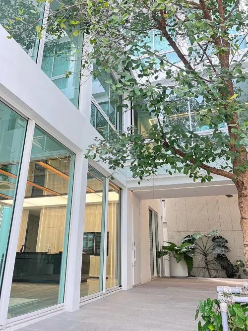 เช่าบ้าน  วีเว่ เอกมัย - รามอินทรา นวมินทร์ เขต บึงกุ่ม กรุงเทพ CX-136417