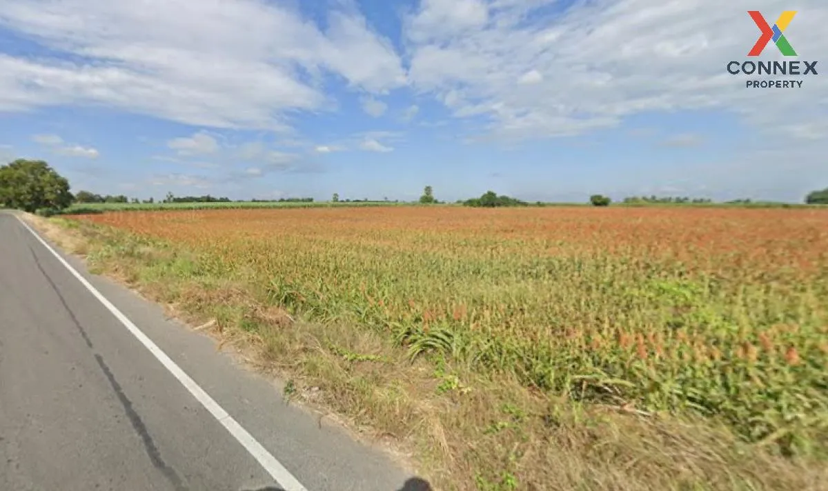 For Sale Large plot of land with a beautiful view, 208-1-90 rai, 