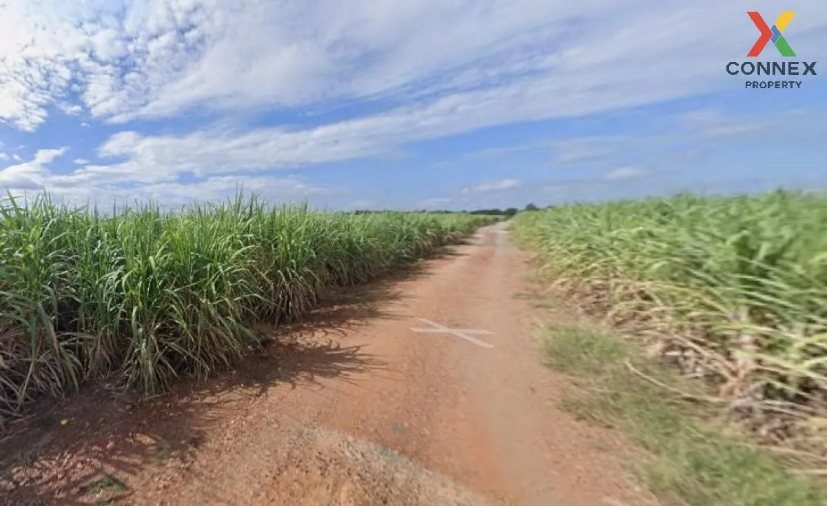 For Sale Large plot of land with a beautiful view, 208-1-90 rai, 