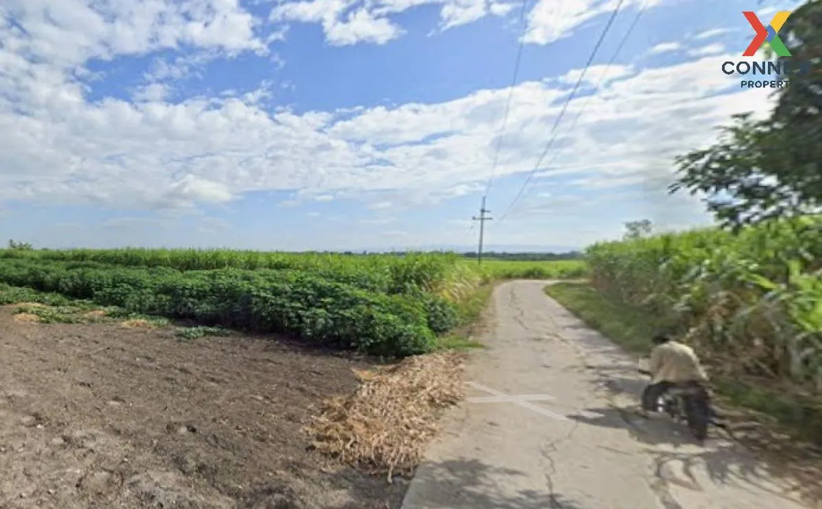 For Sale Large plot of land with a beautiful view, 208-1-90 rai, 