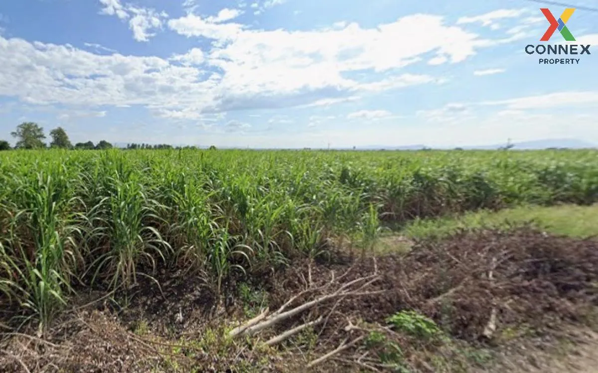 For Sale Large plot of land with a beautiful view, 208-1-90 rai, 