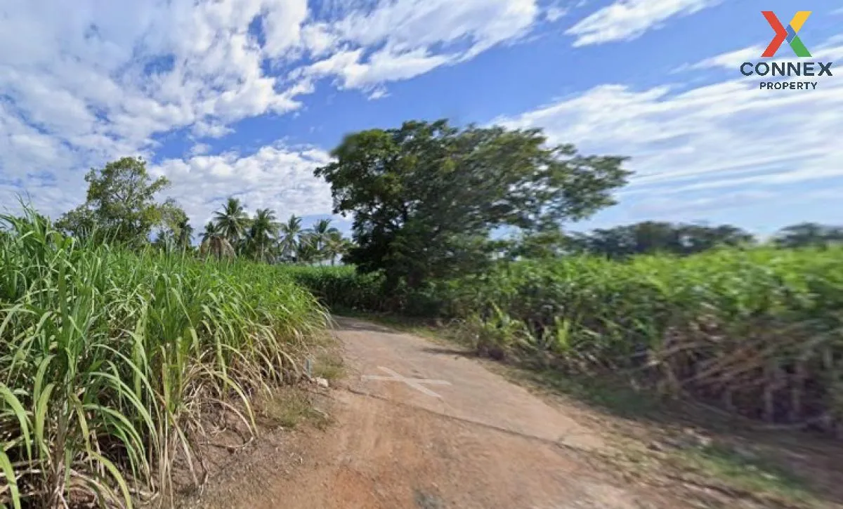 For Sale Large plot of land with a beautiful view, 208-1-90 rai, 