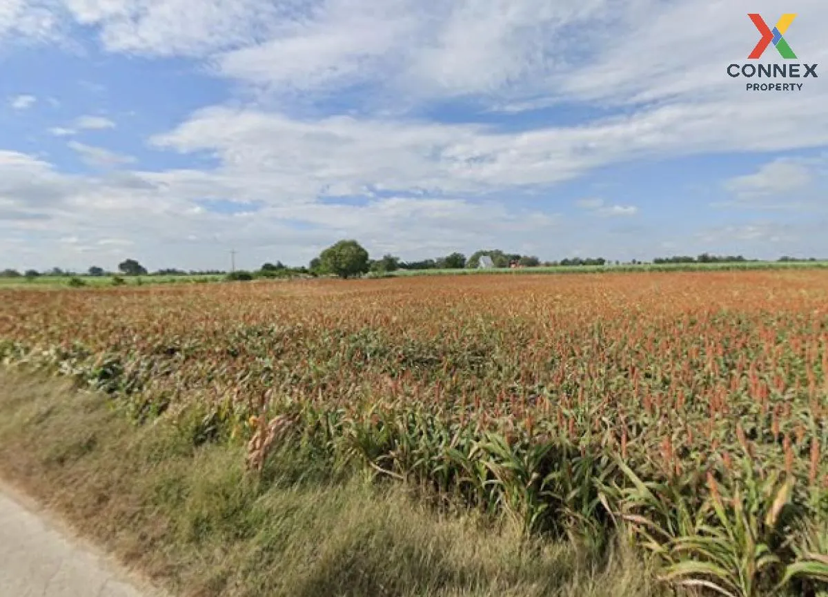 For Sale Large plot of land with a beautiful view, 208-1-90 rai, 