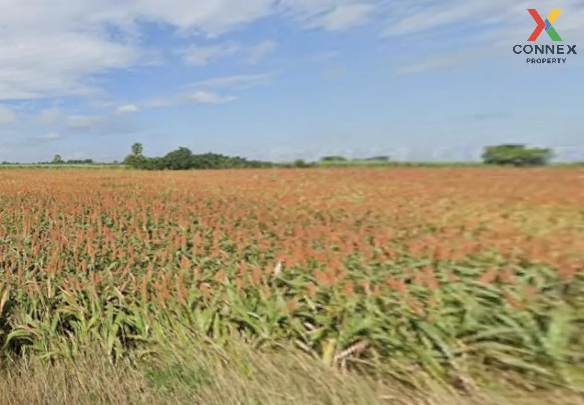 For Sale Large plot of land with a beautiful view, 208-1-90 rai, 