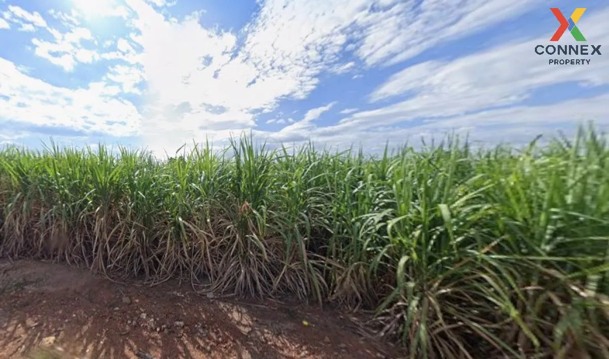 For Sale Large plot of land with a beautiful view, 208-1-90 rai, 