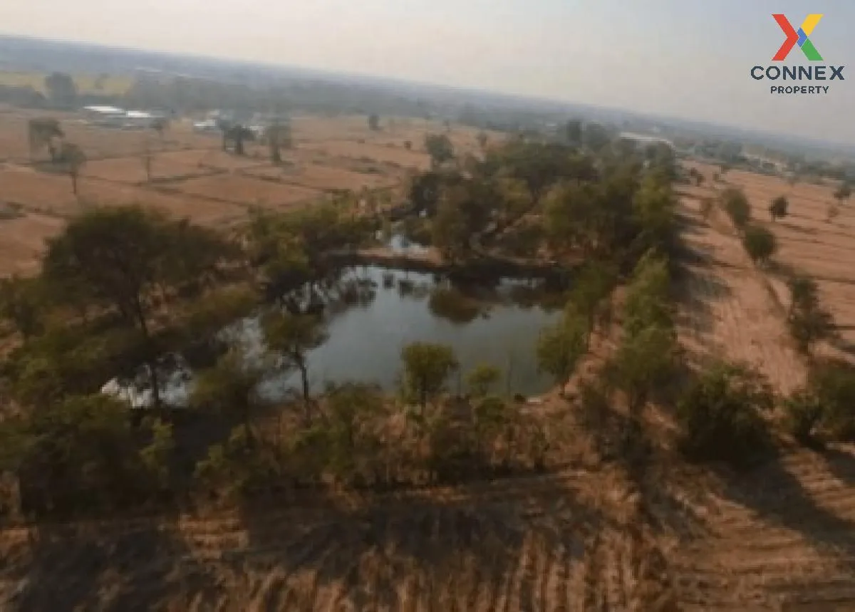 ขายรีสอร์ทสวยบนทำเลศักยภาพ ติดถนนพหลโยธิน อ.โคกสำโรง จ.ลพบุรี วัง