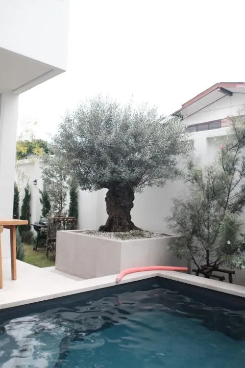 ขายบ้านเดี่ยว ซอยลาดพร้าว 64 วังทองหลาง เขต วังทองหลาง กรุงเทพ CX-136868