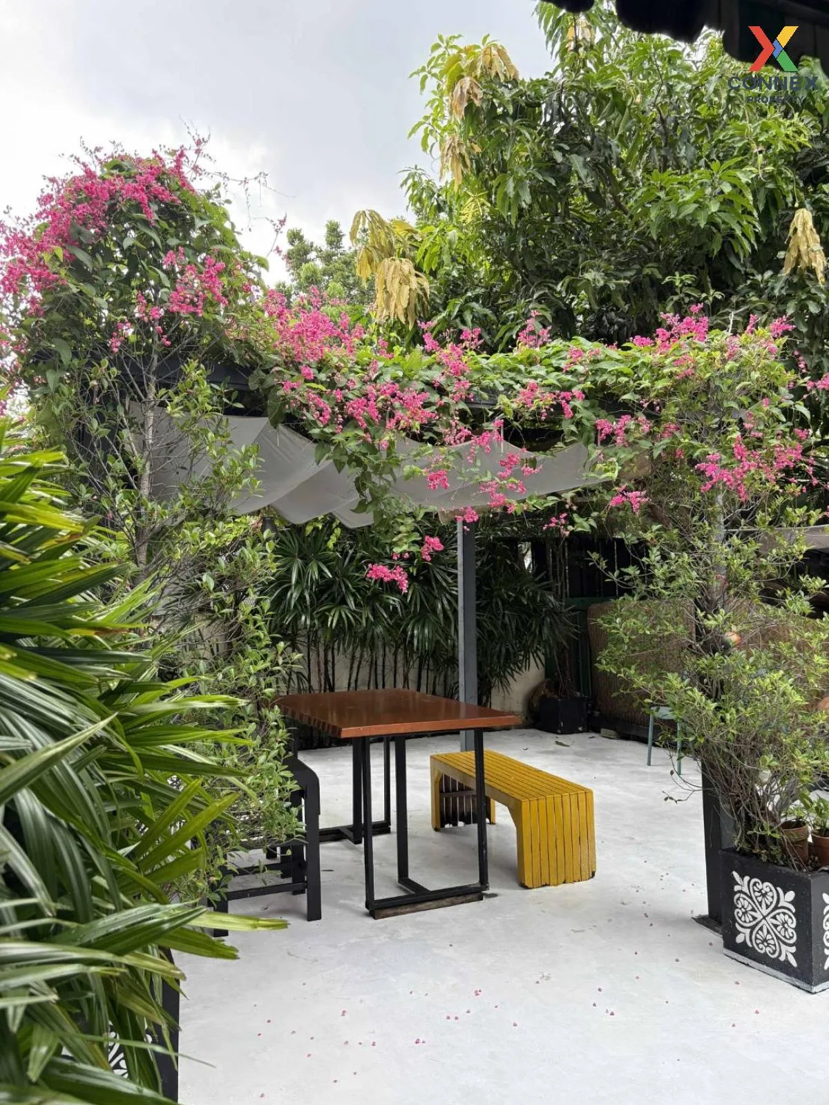 เช่าบ้านเดี่ยวชิดลม มักกะสัน เขต ราชเทวี กรุงเทพ CX-136880 4