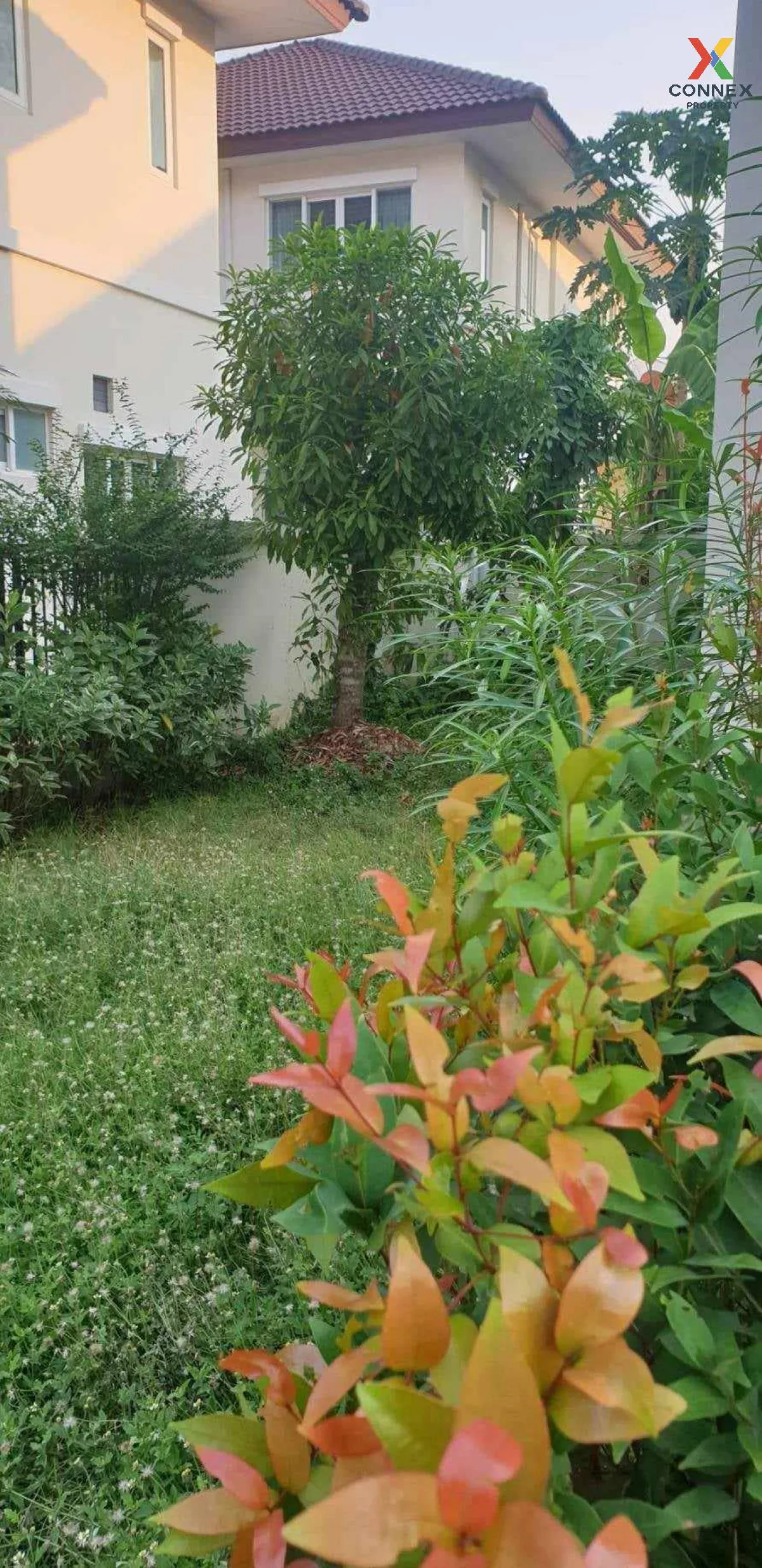 For Sale House , The Centro Rattanathibet , MRT-Bang Phu , Bang L