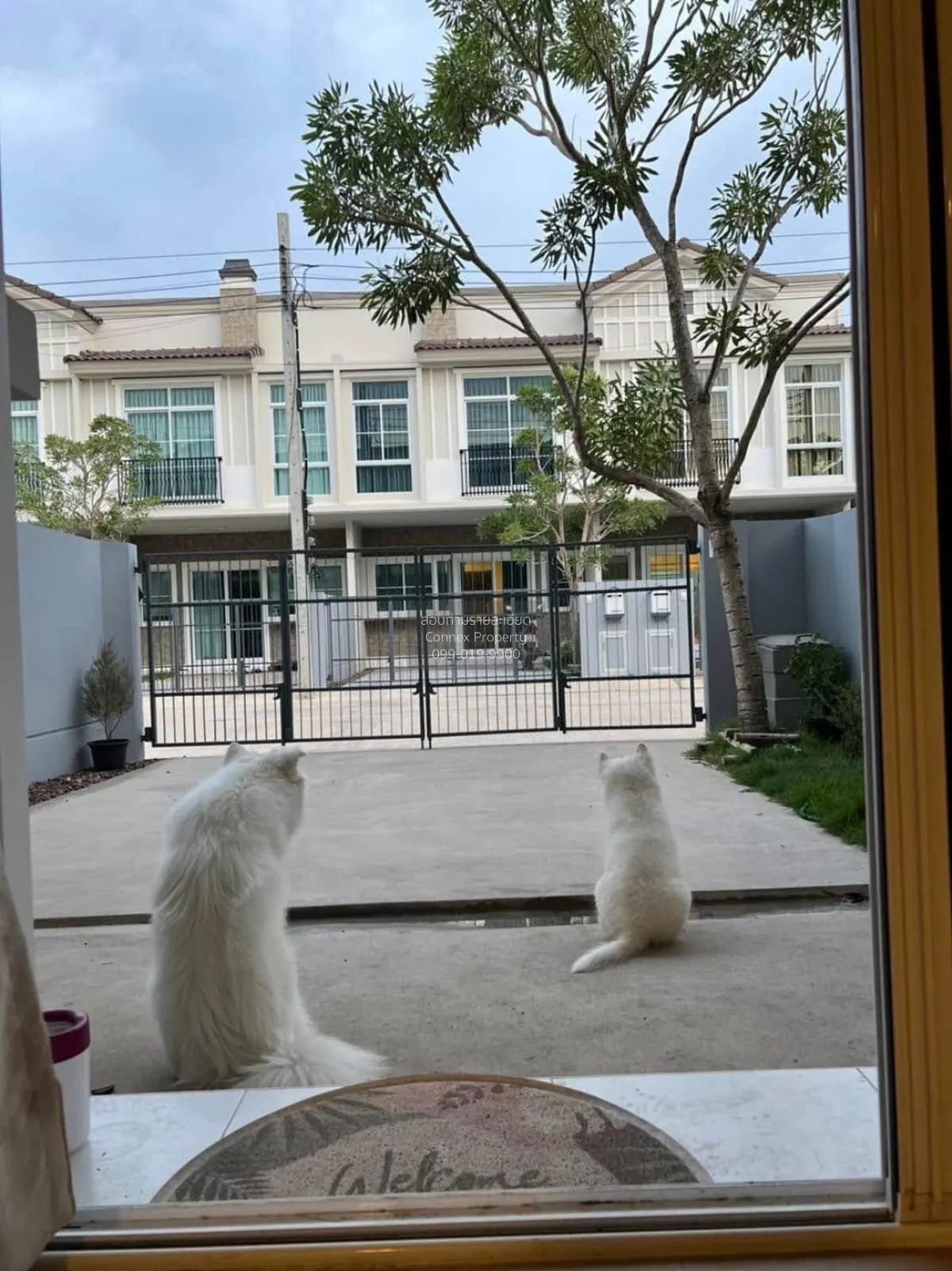 For Rent Townhouse/Townhome  , Villaggio Suksawat - Prachauthit ,