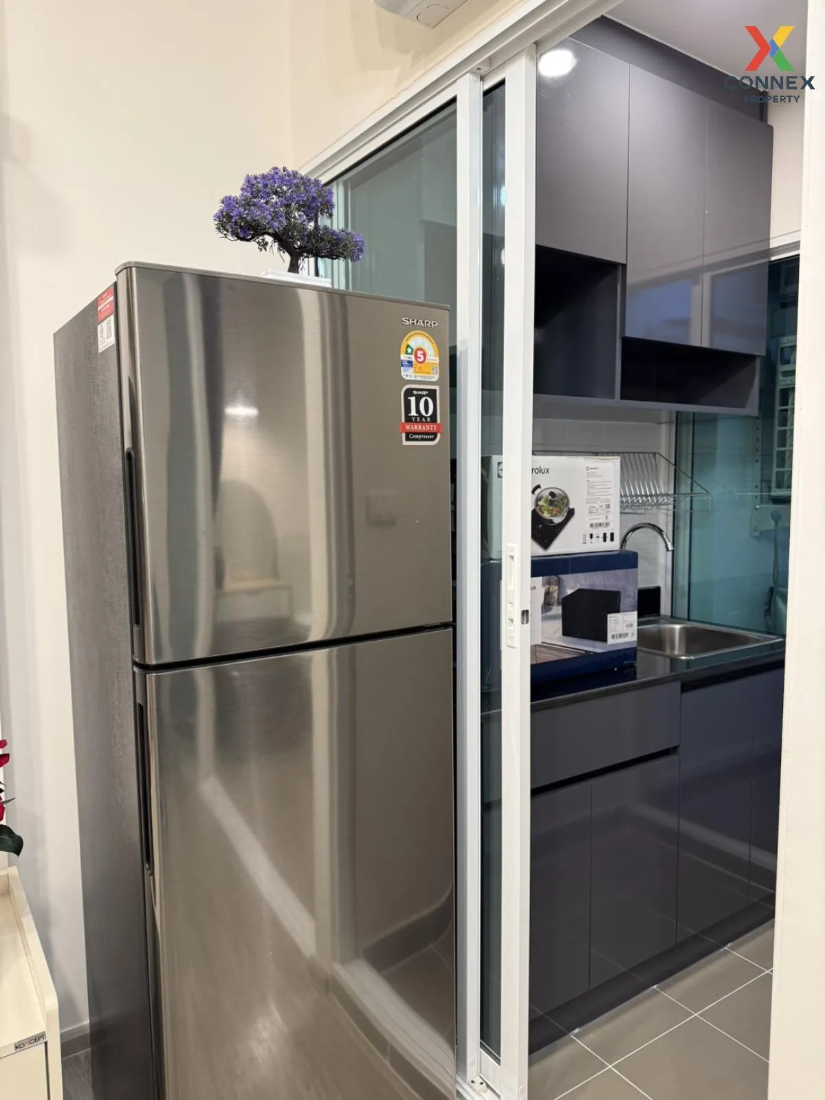 For Rent Condo , Regent Home Bangna (New Project) , Bang Na , Ban 4