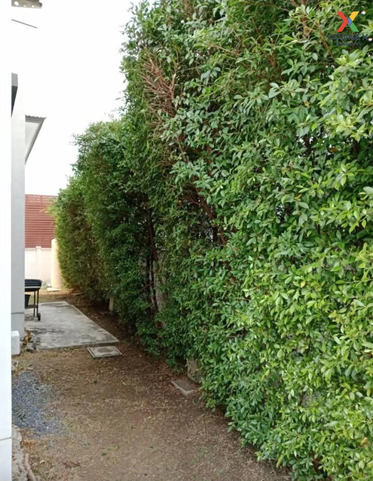 เช่าบ้าน  เดอะ เซนโทร รามอินทรา หน้ากว้าง คันนายาว เขต คันนายาว ก