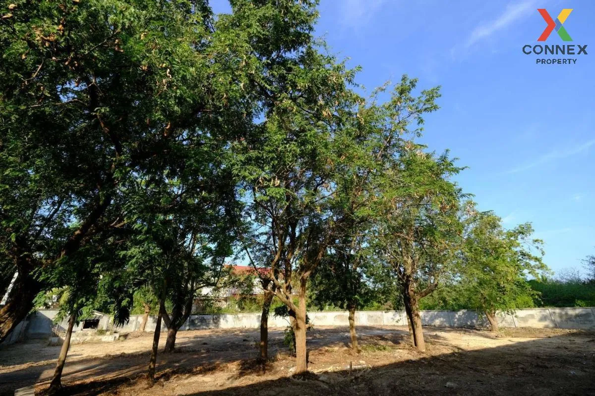 Land for sale, 354 sq. wah, near Cha-am Beach, Phetchaburi, CX-13