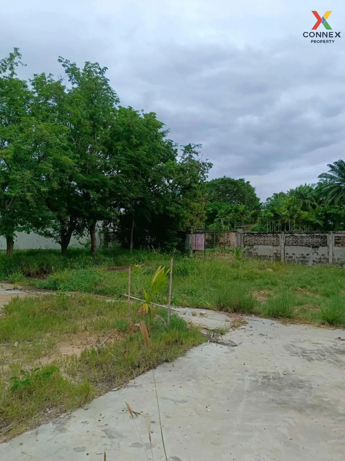 Land for sale, 354 sq. wah, near Cha-am Beach, Phetchaburi, CX-13