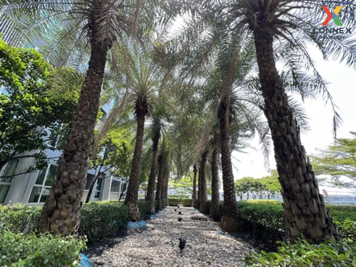 ขายคอนโด  ริทึ่ม สุขุมวิท 50 วิวสวย ห้องมุม BTS-อ่อนนุช พระโขนง เ