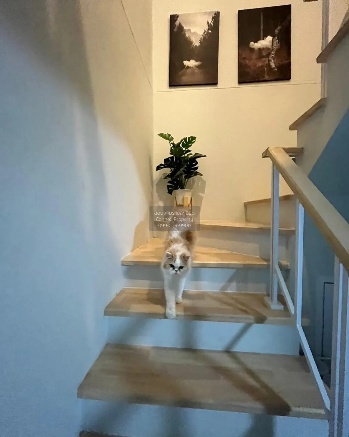 เช่าบ้าน  เดอะ วิลเลจ บางนา - วงแหวนฯ 4 บางพลีใหญ่ บางพลี สมุทรปร