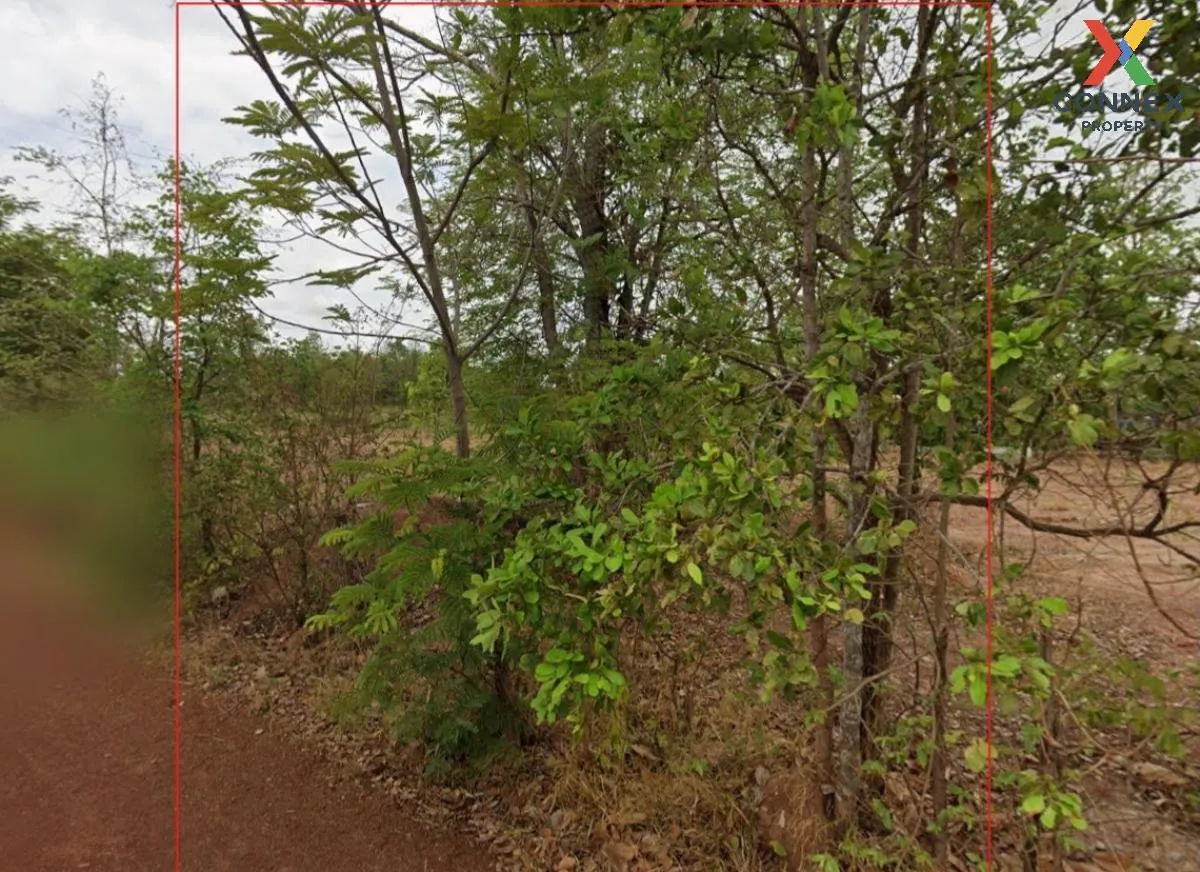 For Sale A vacant land of 41 rai in Wanorn Niwat District, Sakon  2