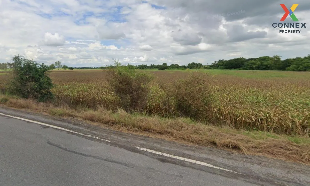 ขายที่ดินแปลงใหญ่ วิวสวย 65-3-12.5 ไร่ อ.โคกสำโรง จ.ลพบุรี  CX-13 4