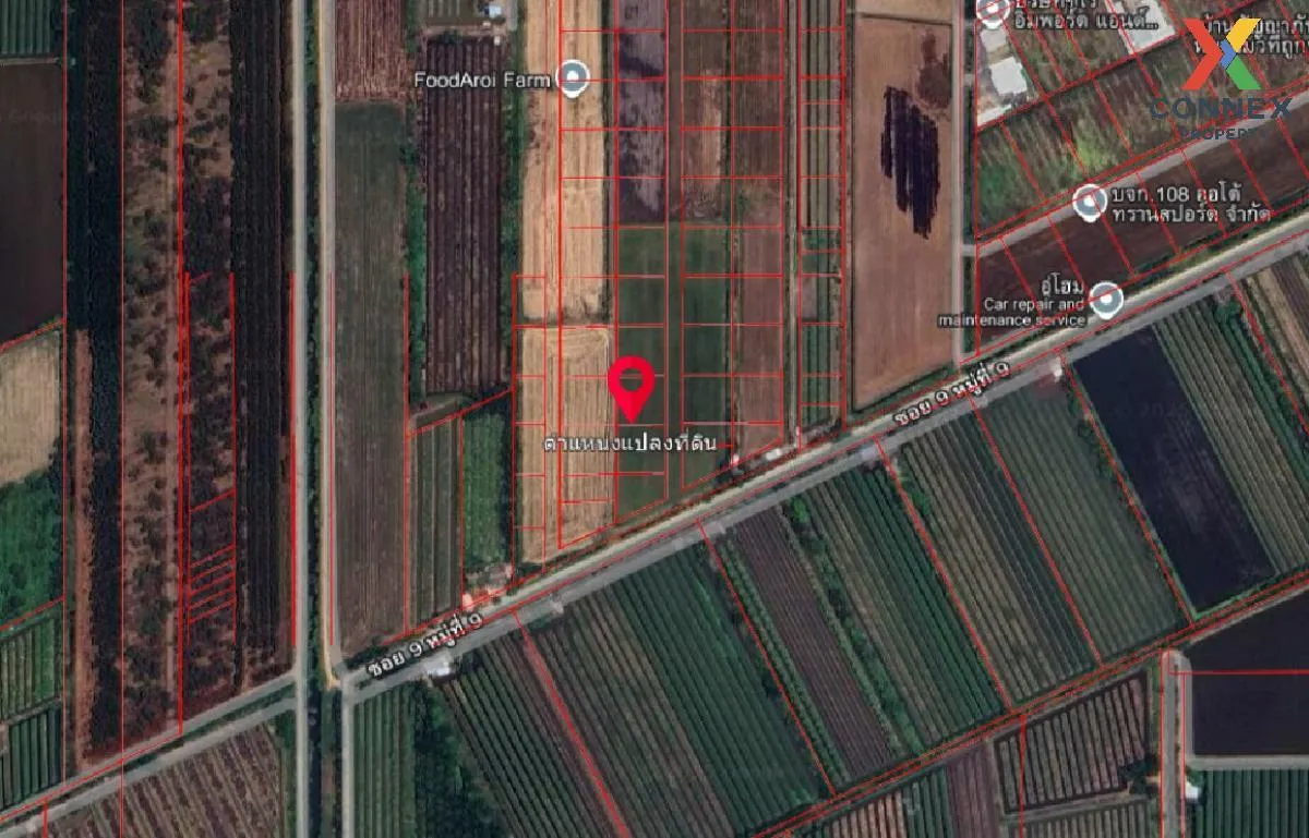 For Sale Vacant Land : 3 Ngan 99 Square Wah, Nong Suea District,  1