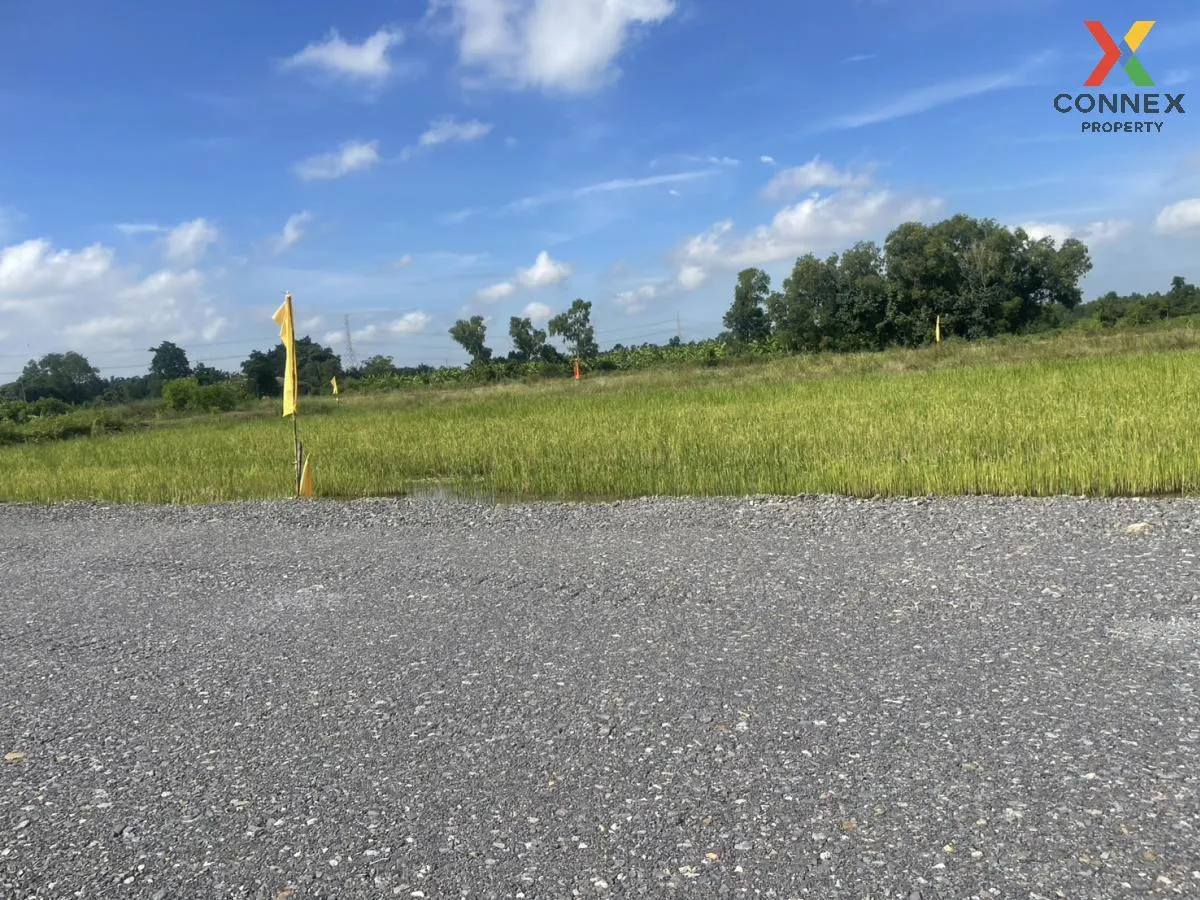 For Sale Vacant Land : 3 Ngan 99 Square Wah, Nong Suea District,  2