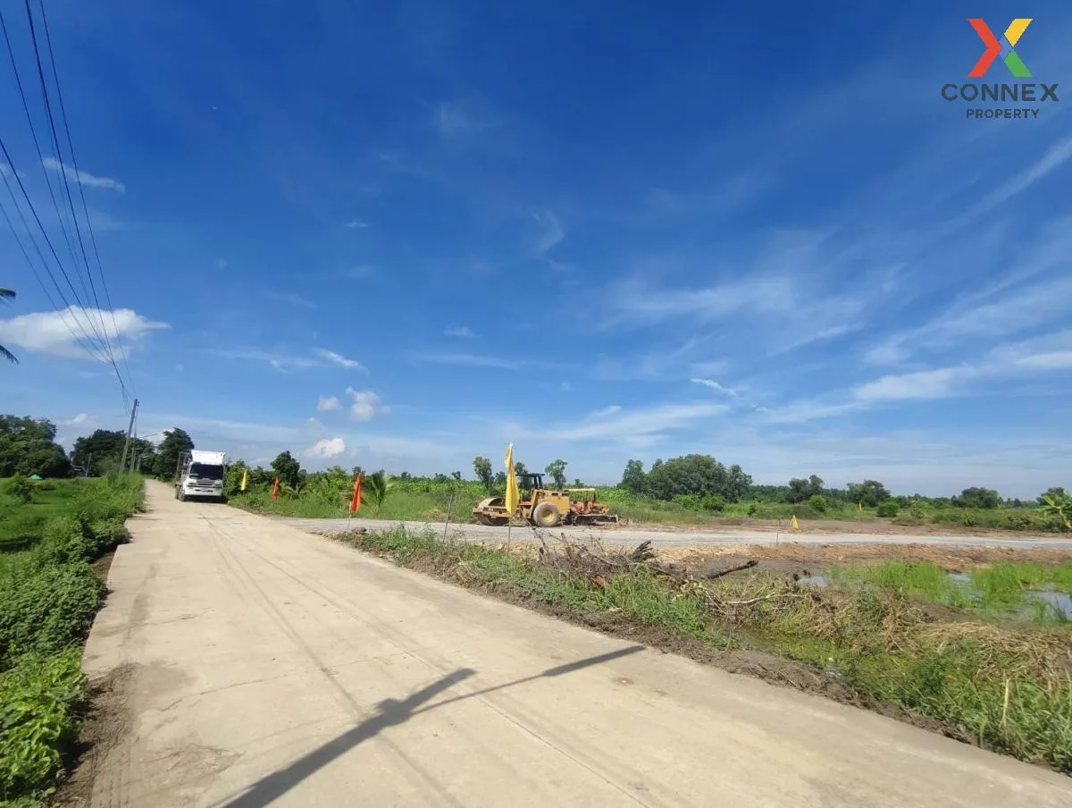 For Sale Vacant Land : 3 Ngan 99 Square Wah, Nong Suea District,  3