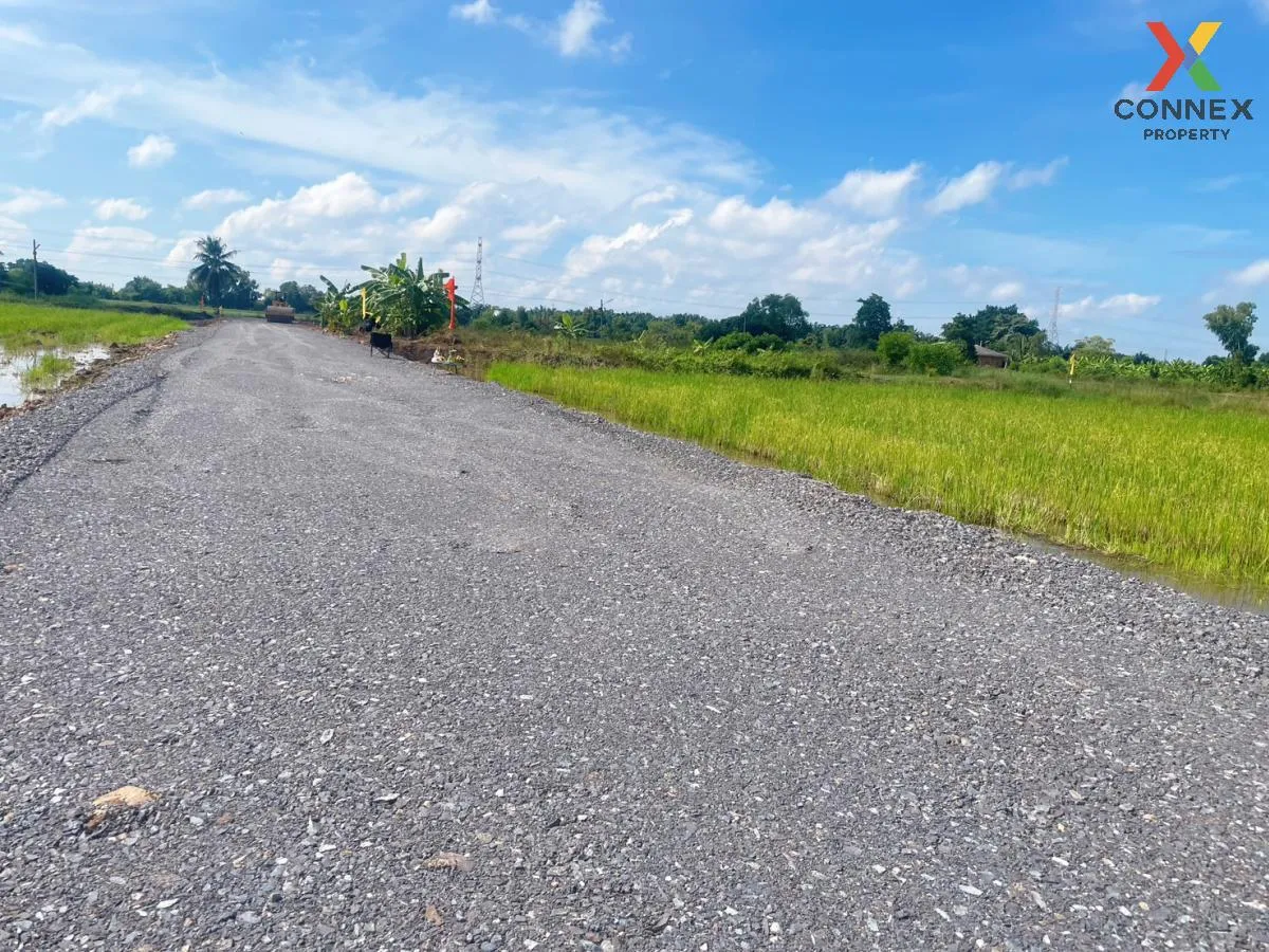 For Sale Vacant Land : 3 Ngan 99 Square Wah, Nong Suea District,  4