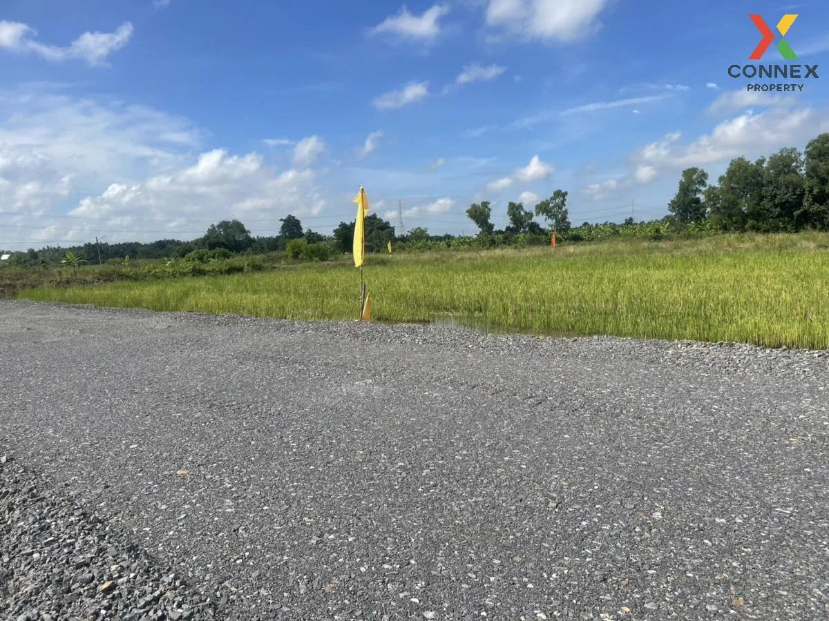 For Sale Vacant Land : 3 Ngan 99 Square Wah, Nong Suea District, 