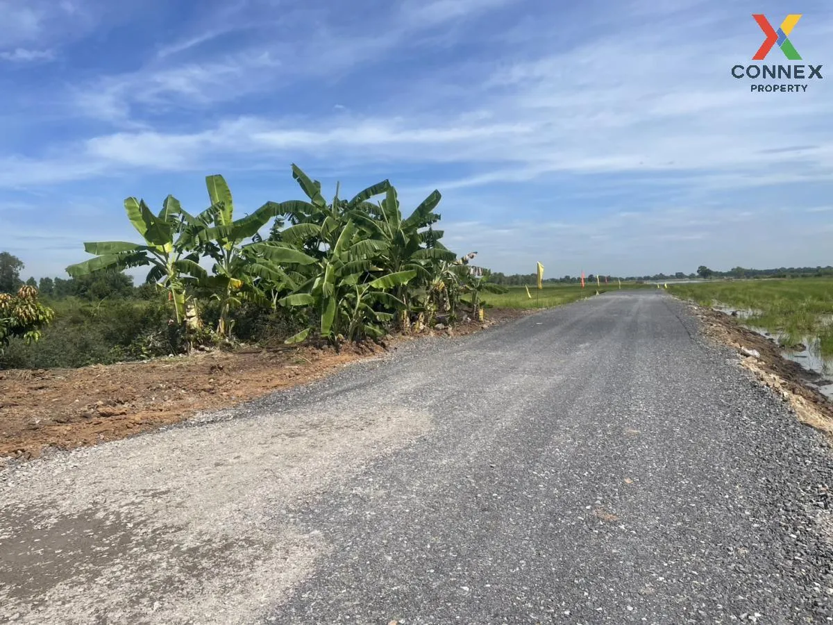 For Sale Vacant Land : 3 Ngan 99 Square Wah, Nong Suea District, 
