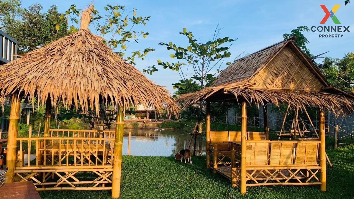 Let see Stars Resort Business for Sale - Ready for immediate take