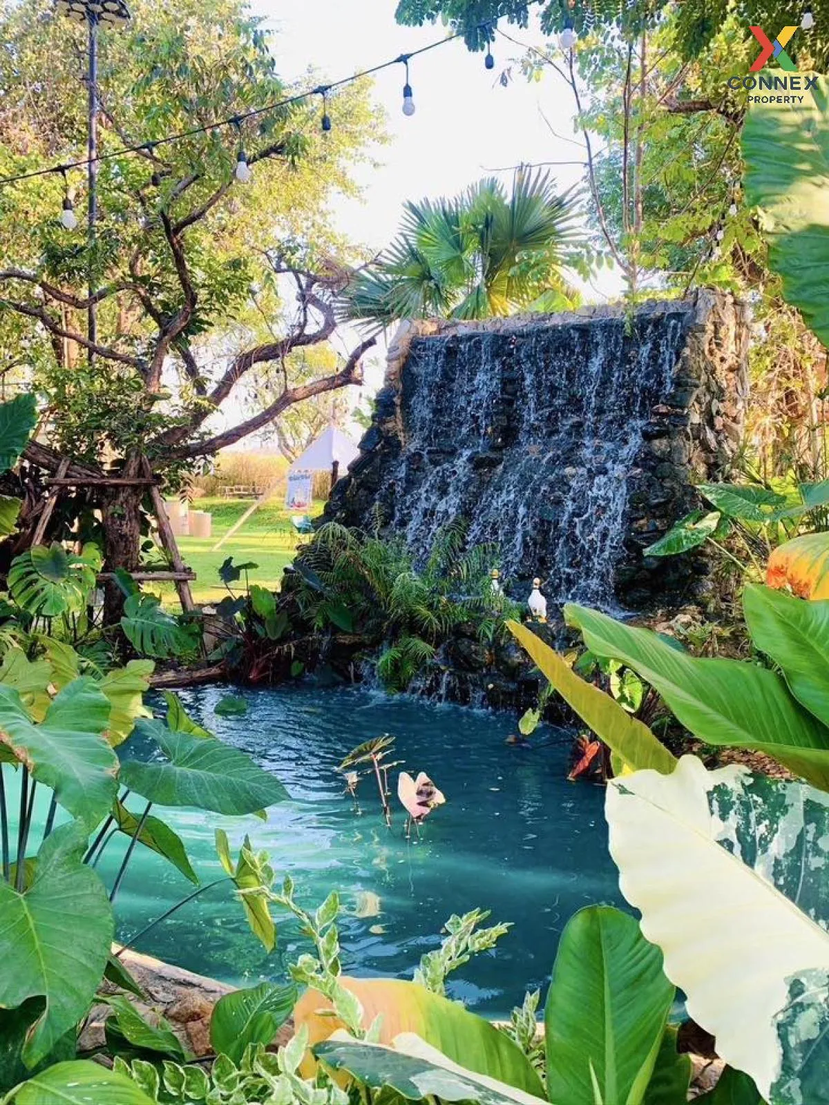 Let see Stars Resort Business for Sale - Ready for immediate take