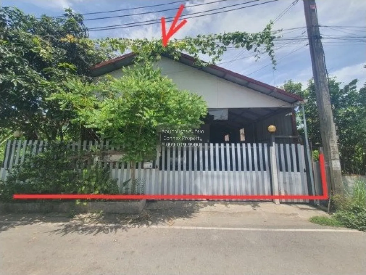 ขายบ้าน  ปีกไม้ 1 บางคูรัด บางบัวทอง นนทบุรี CX-137872 1