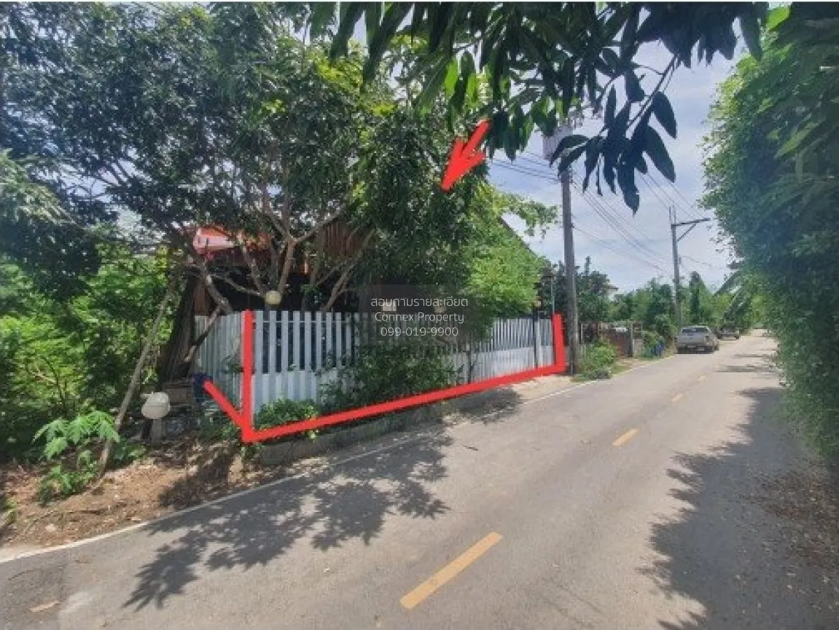 ขายบ้าน  ปีกไม้ 1 บางคูรัด บางบัวทอง นนทบุรี CX-137872 2