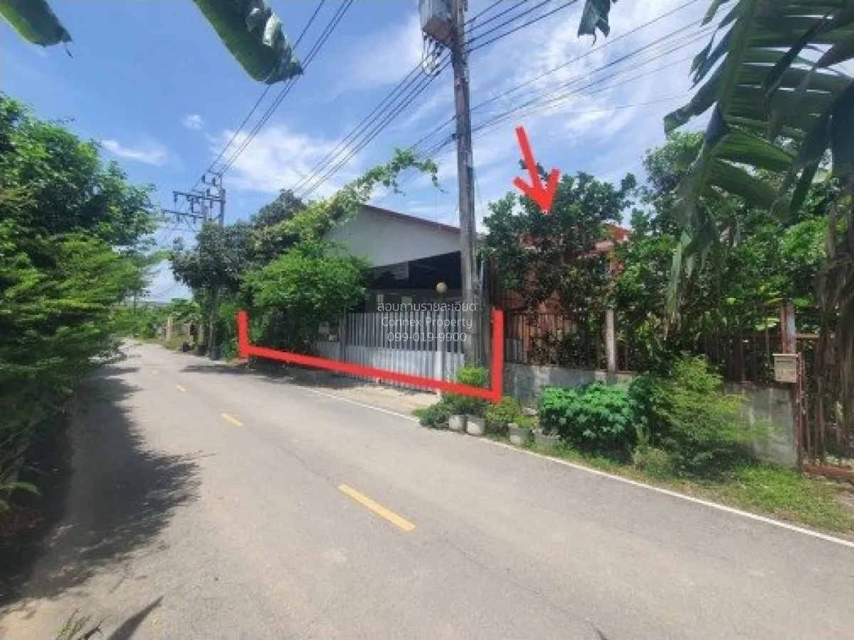 ขายบ้าน  ปีกไม้ 1 บางคูรัด บางบัวทอง นนทบุรี CX-137872 3