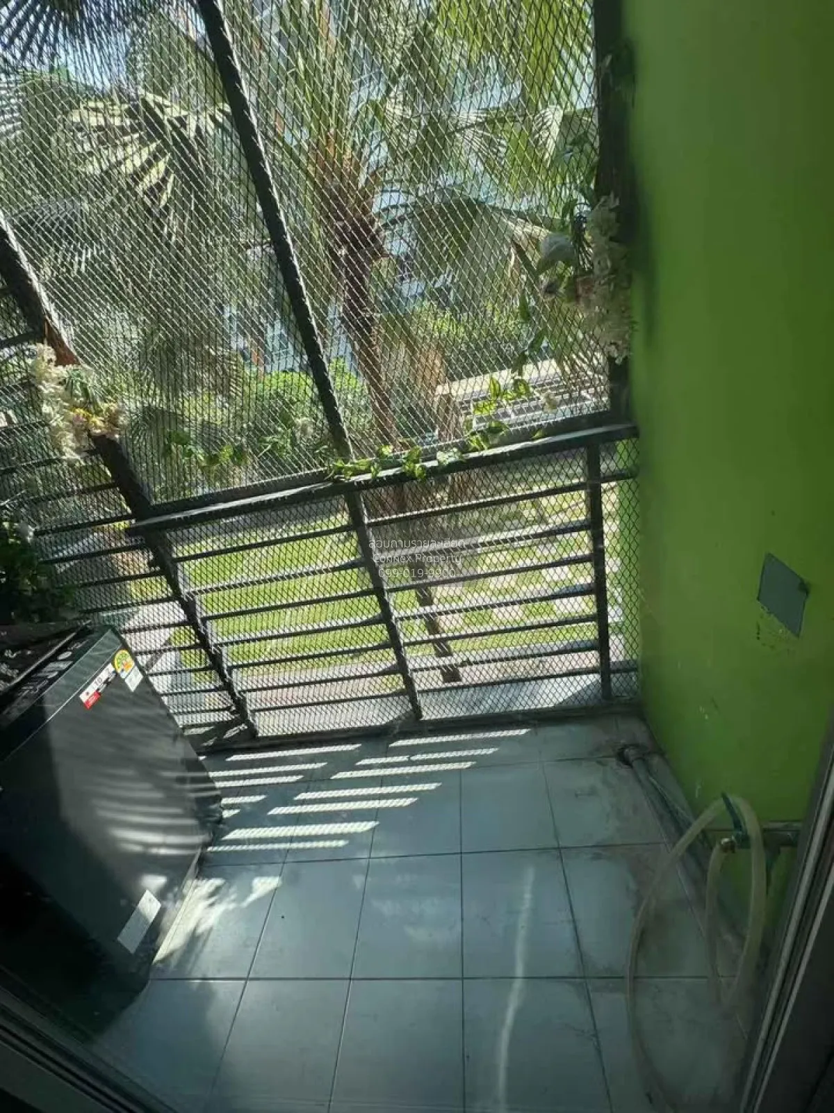 For Rent Condo , @ City Sukhumvit 101/1 , BTS-Punnawithi , Bang C