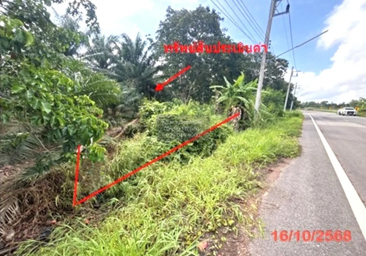 For Sale land area 0-3-79.50 square wah Khlong Noi Surat Thani ,  2