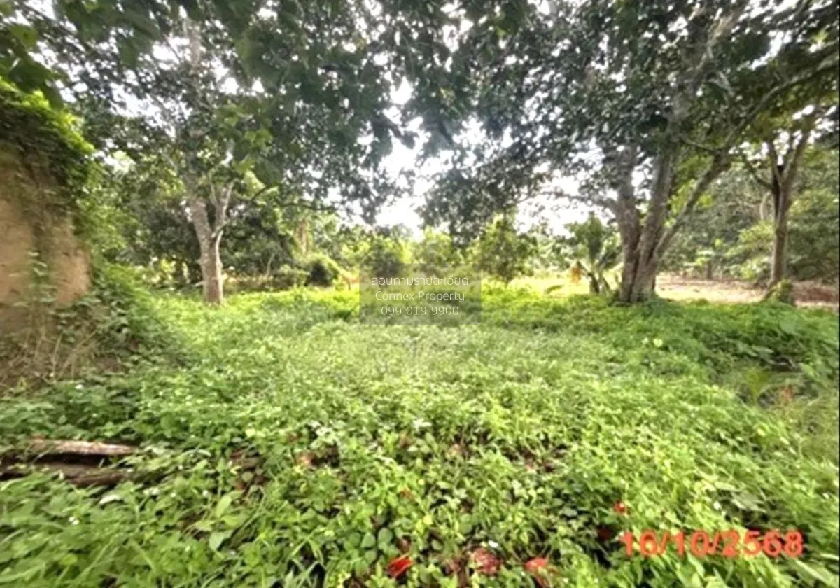 For Sale land area 0-3-79.50 square wah Khlong Noi Surat Thani , 