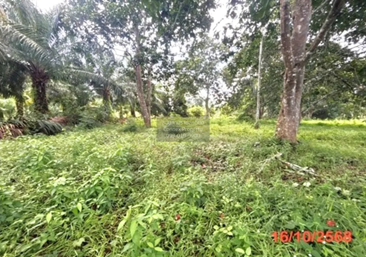 For Sale land area 0-3-79.50 square wah Khlong Noi Surat Thani , 