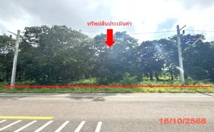 For Sale land area 0-3-79.50 square wah Khlong Noi Surat Thani , Khlong Noi , Mueang Surat Thani , Surat Thani , CX-137986