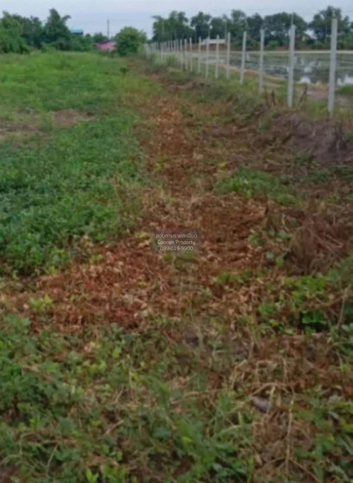 For Sale One rai of vacant land in Lat Lum Kaeo District, Pathum  2