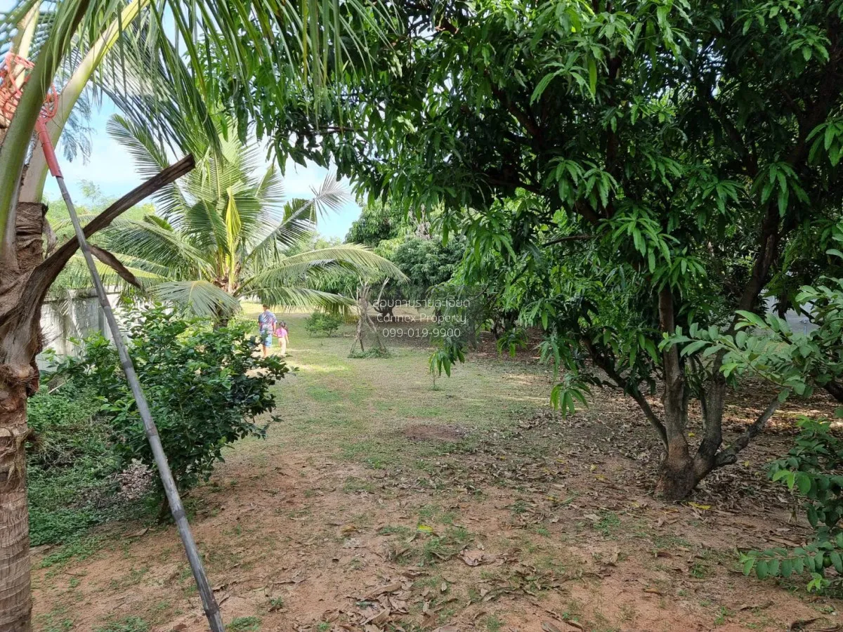 For Sale 2-storey detached house, Korat, Hua Thale Subdistrict ,  3