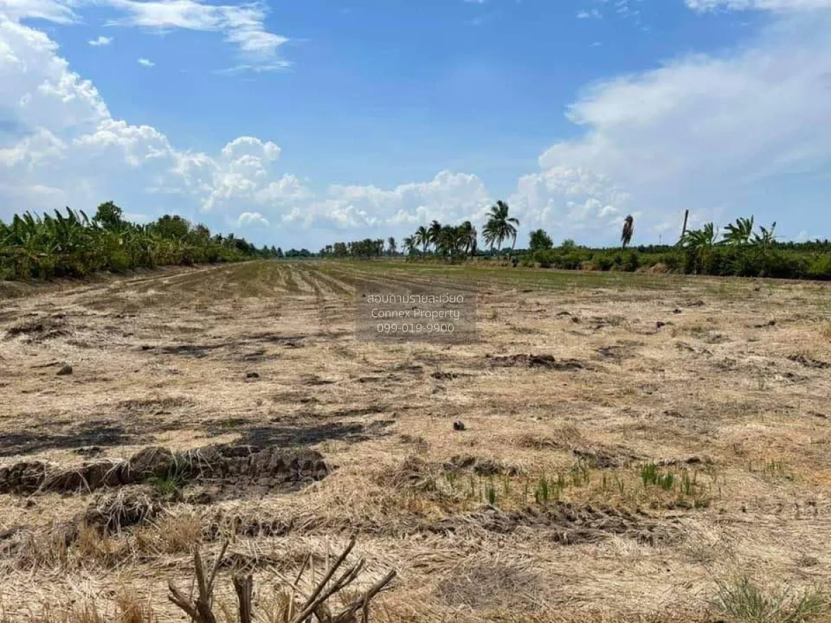 ขายที่ดิน 30 ไร่ ทำเลดี ใกล้ลาดกระบัง-สุวรรณภูมิ  อ.เมืองฉะเชิงเท 3