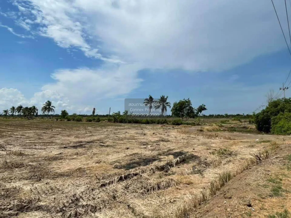 ขายที่ดิน 14-1-86ไร่ ใกล้ลาดกระบัง-สุวรรณภูมิ อ.เมืองฉะเชิงเทรา ฉ 2